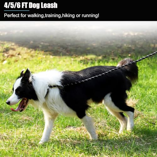 Two pack BOOMIBOO dog leashes for training