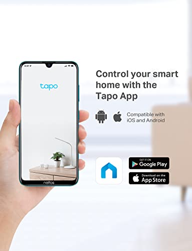 Tapo C100 setup with Alexa device