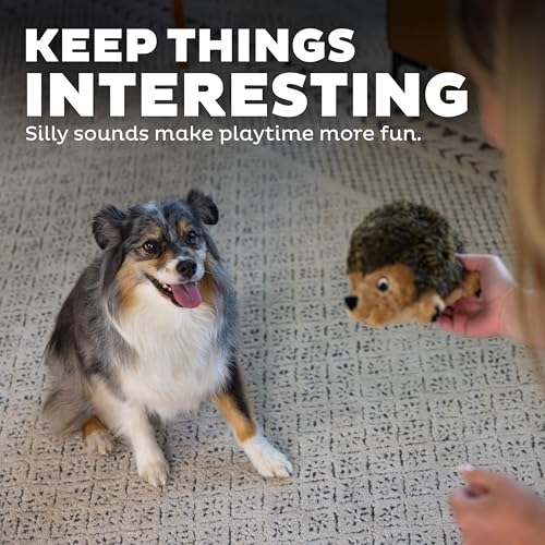 Dog playing with Outward Hound Hedgehogz