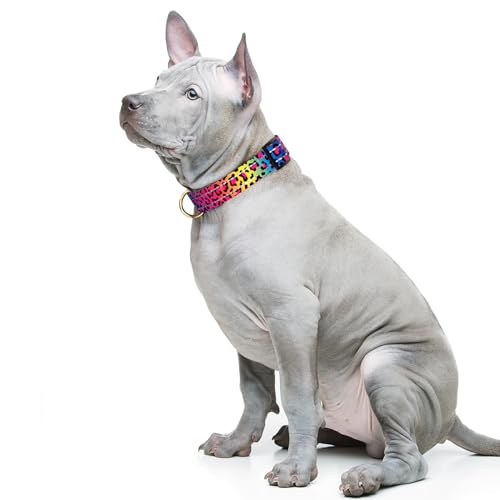 TMOODEL Leopard Neon dog collar reflective nylon detail