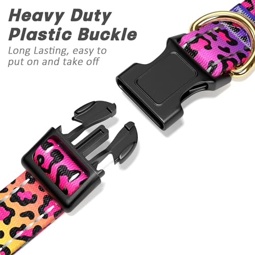 Coated alloy D-ring on TMOODEL dog collar