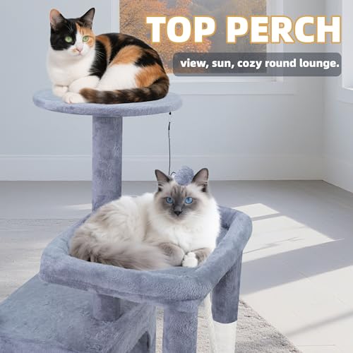 Close up of scratching post and hammock