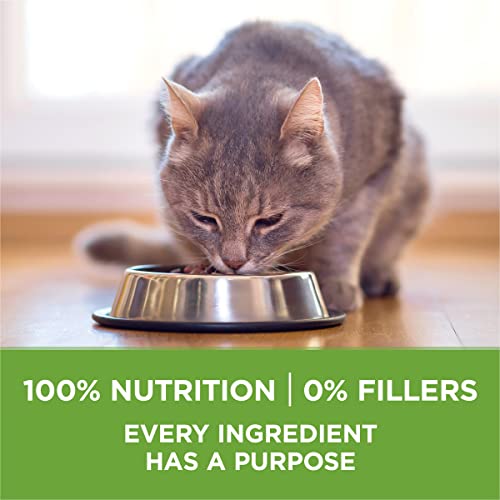Weight management benefits for indoor cats