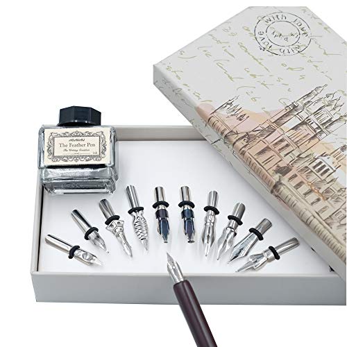 Close up of 11 stainless steel nibs for hhhouu pen