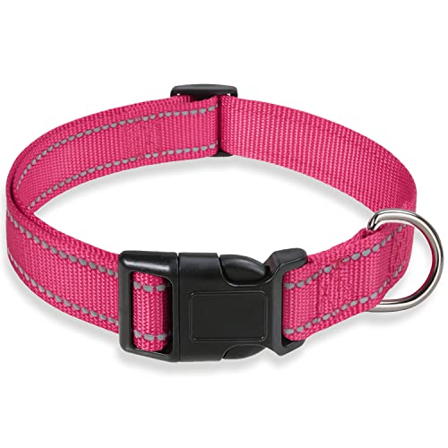 BOOMIBOO hot pink nylon dog collar