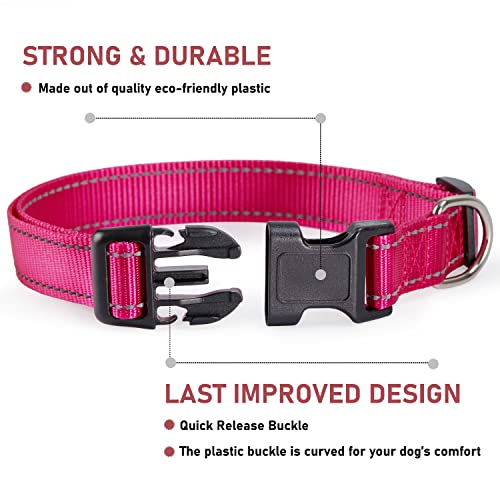 Reflective collar for small dogs