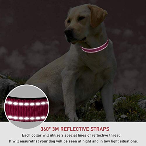 BOOMIBOO collar with metal D-ring