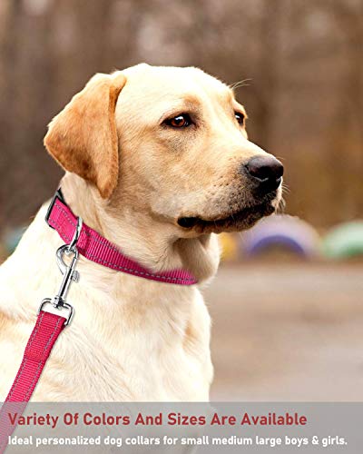Hot pink small dog collar view