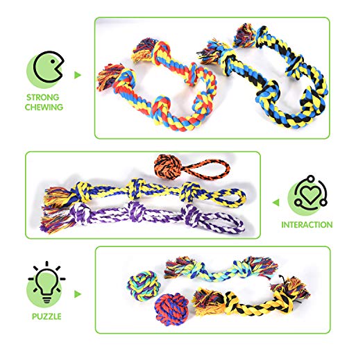 Full collection of SHARLOVY dog chew toys