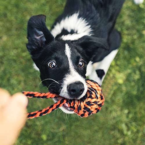 Large dog playing with SHARLOVY rope toy