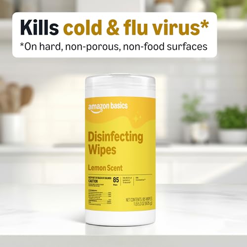 Top view of the wipes dispenser lid