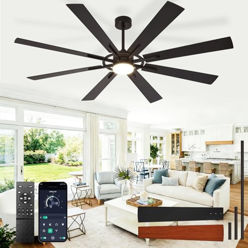 BvenuBigLite 72 inch ceiling fan with black blades