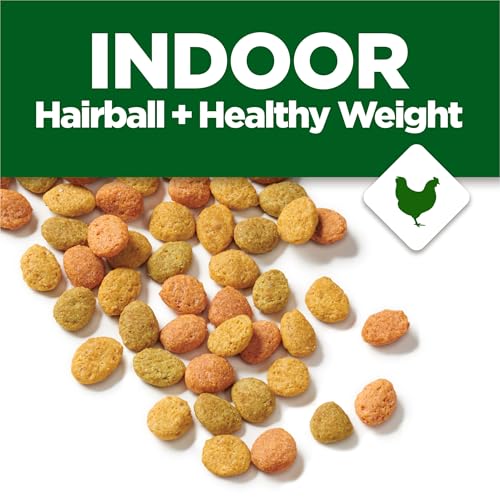 Healthy indoor cat eating Purina Cat Chow