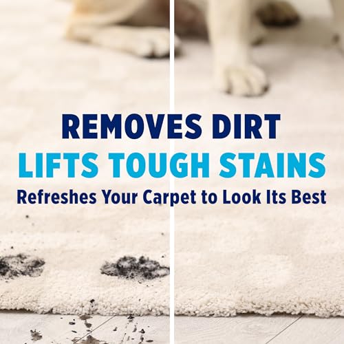 Close up of OxiClean carpet cleaner branding