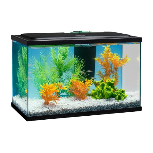 Tetra glass aquarium with accessories