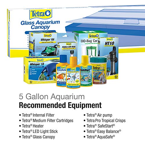 Tetra 5.5 Gallon glass tank top view
