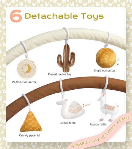 little dove baby gym set with milestone cards