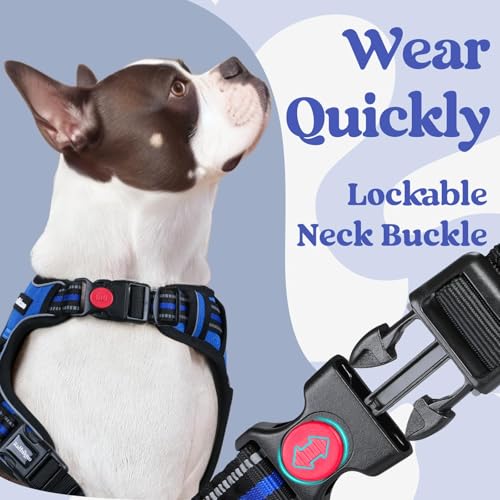 Three buckle design for easy wear