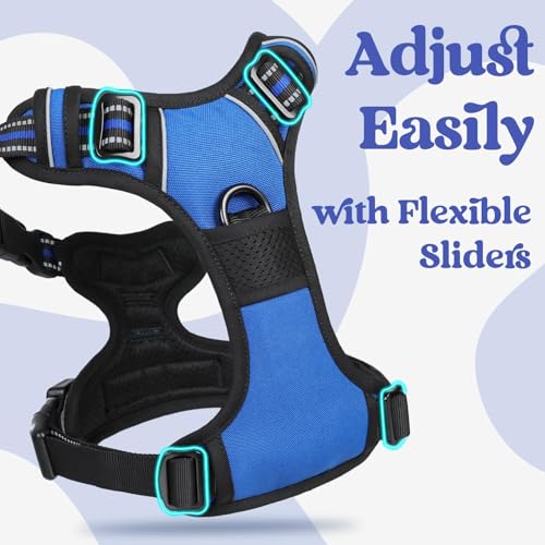 Front and back leash attachment clips