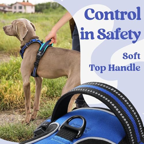 Reflective safety strips on harness