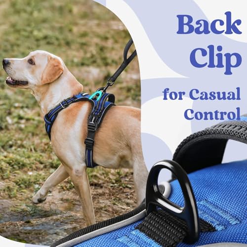 Adjustable neck and chest straps