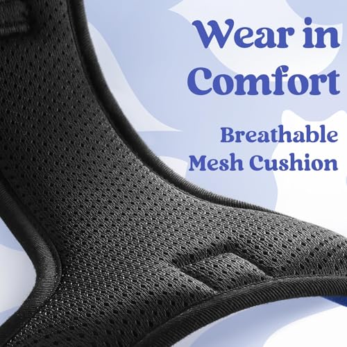 Lockable neck buckle security feature