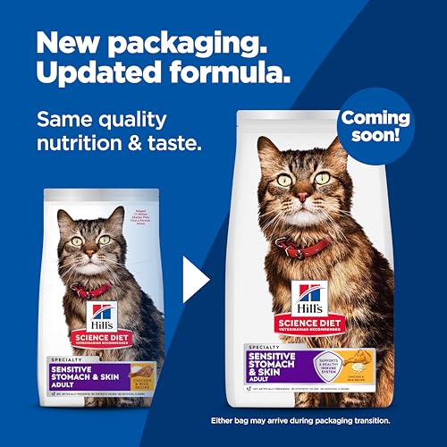 Dry cat food kibble texture close up