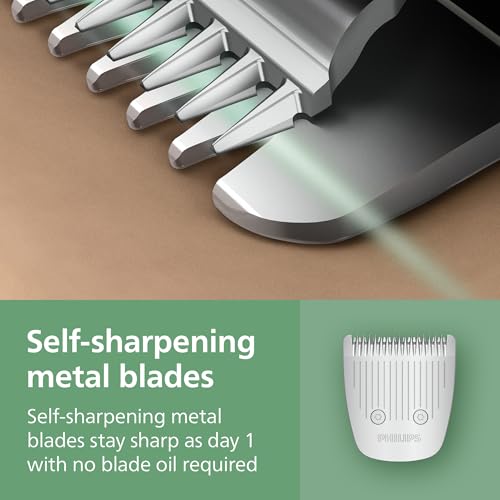 Complete 13-piece grooming kit layout