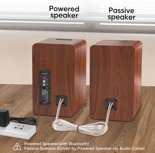 Saiyin DS6701 speakers showing the 4 inch woofer