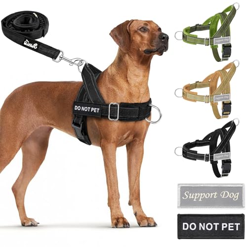 Lukovee No Pull Dog Harness and Leash Set front view