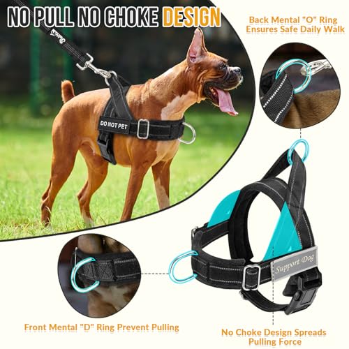 Medium Lukovee harness black color details