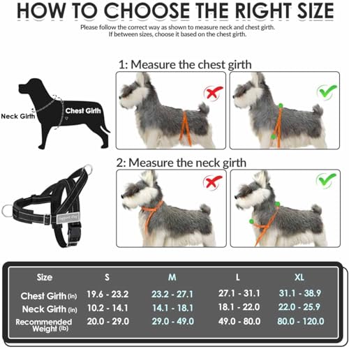 Reflective safety strips on Lukovee harness set