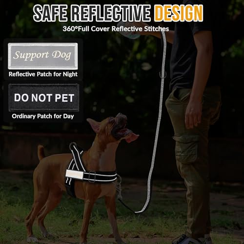 Shock absorbing bungee leash with two handles