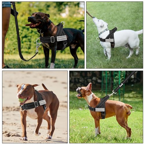 Lukovee harness with SUPPORT DOG patch