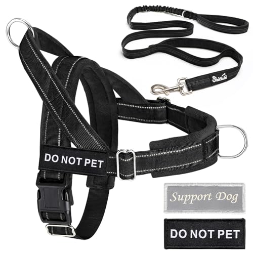 Tangle free swivel hook on Lukovee bungee leash