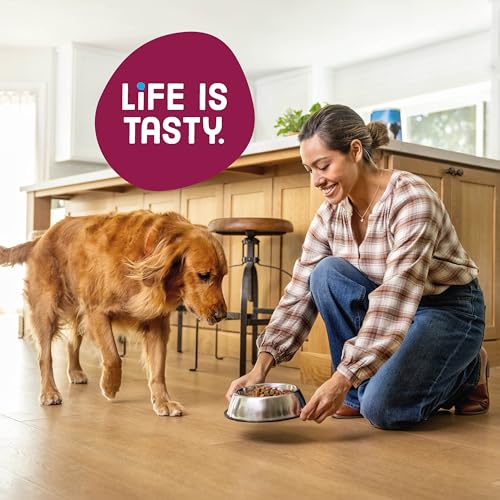 16 lb bag of Kibbles 'n Bits brand dog food