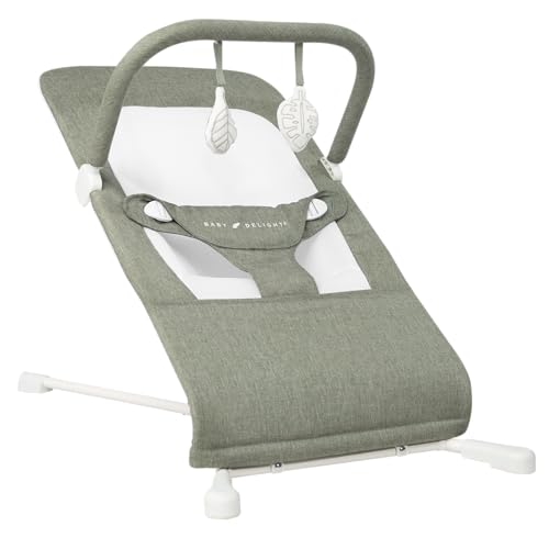 Baby Delight Highland Baby Bouncer in Sage Tweed