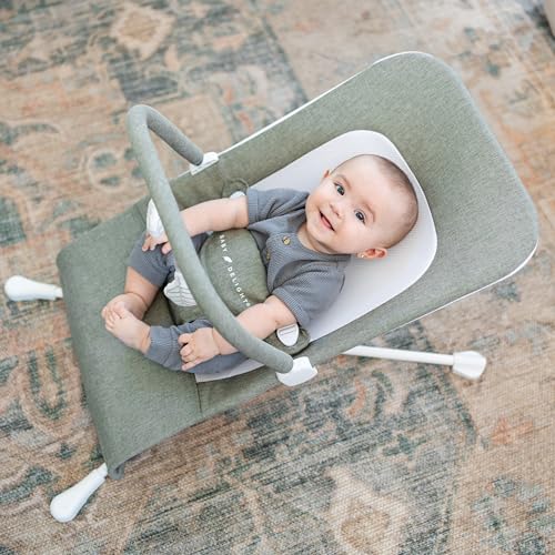 Baby Delight bouncer with detachable toy bar