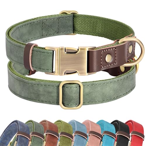 Didog green PU leather dog collar size M