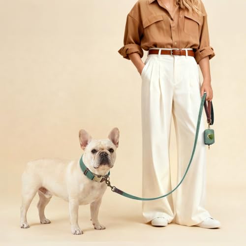 Close up of Didog collar quick-release metal buckle