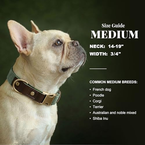 Didog collar showing soft nylon lining texture