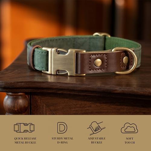 Didog dog collar with durable D-ring attachment