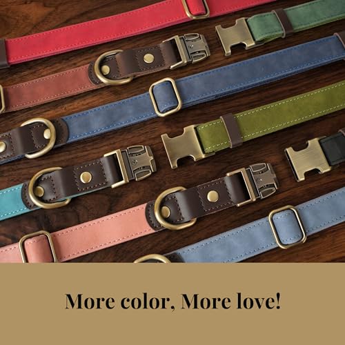Green Didog leather collar adjustment clasp detail