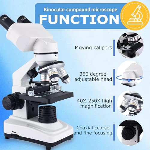 Binocular Microscope WF10x/25x Eyepieces