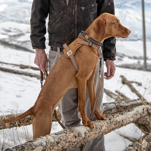 Carhartt No Pull Dog Harness side profile in brown