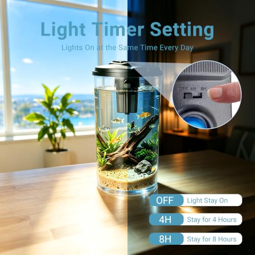Transparent plastic tank structure