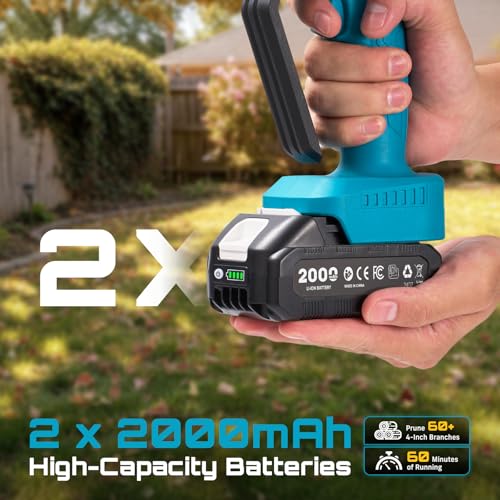 Two 2000 mAh batteries for Seesii chainsaw