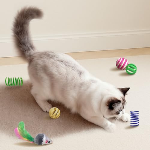 Close up of cat toy mice
