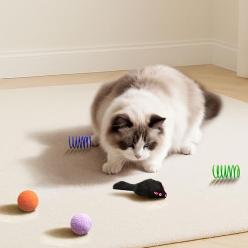 Interactive set for kittens