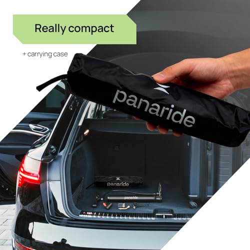 Panaride H-2 pump with foot pedestal